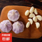 京喜加【40w单爆品】紫皮蒜多瓣大蒜新鲜特价蒜头干蒜 推荐 5-6头 100g 单果3.5-5cm