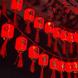 新玥 2026元旦新年装饰LED发光灯串春节灯会红灯笼彩灯串灯场景布置品