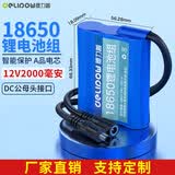 德力普（Delipow）12v锂电池组 18650锂电池可适用音响仪器仪表太阳能灯扩音器钓鱼灯玩具车小风扇3.7v/7.4v充电电池 12V 2000mAh【DC公母头】