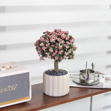 八芽花开富贵金枝玉叶棒棒糖大老桩多肉植物盆栽室内客厅花卉开花绿植 金枝玉叶-奶油竖纹盆（陶瓷）