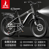 凤凰（Phoenix）儿童自行车6-12岁中大童男孩山地车青少年变速学生车单车小学生车 A6- 金属灰- 变速辐条轮-带后座架 20寸(适合身高130-150cm)