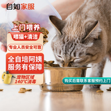 【自如家服_上门喂猫服务】同城上门宠物喂养喂猫自动喂猫自动猫砂 3次