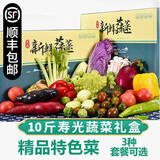 【顺丰到家】蔬菜套餐礼盒 山东寿光时令蔬菜送礼蔬菜 10斤【特色菜】礼盒 精选
