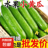 新鲜水果黄瓜现摘现发脆嫩多汁生吃无刺小黄瓜当季时令蔬菜 水果黄瓜 200g 活动款