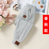 Radinka2025秋冬新款男童裤子中大童休闲时尚儿童宽松小脚裤运动裤YDK CD款 灰色 【春秋款】 110