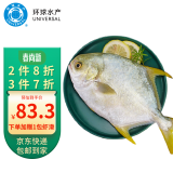 环球水产 南海特大金鲳鱼 750g1条  BAP认证 生鲜鱼类 海鲜水产 家庭聚餐