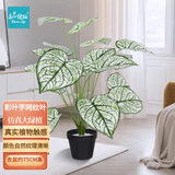 匠心绽放彩叶芋网纹叶仿真盆栽创意室内植物摆件客厅大盆景75CM含盆20211