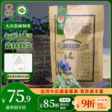 永富 有机大兴安岭野生蓝莓干250g  独立包装 东北特产零食