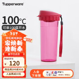 特百惠（Tupperware）茶韵500ML塑料杯 男女学生便携办公用水杯子大容量双饮口 美唇红