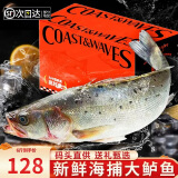 渔吻 新鲜海鲈鱼3条装鲜活冷冻七星深海鲈鱼花鲈鱼 生鲜鱼类年货鱼 【礼盒装】三条特大海鲈鱼