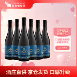 The Strong Sailor水手混酿干红葡萄酒750ml*6整箱红酒 智利进口红酒 热红酒