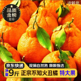 京地达四川不知火丑橘桔子 9斤85mm+ 丑柑桔子新鲜水果源头直发