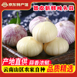 玉燕妃云南正宗新鲜紫皮独头大蒜独蒜干蒜 农家露天自种助农生鲜蔬菜 2.4-3cm紫皮独头干蒜 2斤