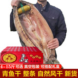 绍兴螺蛳青鱼干特产咸鱼干货鱼干自制风干整条干鱼腊鱼青鱼送礼 10斤