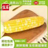 佳农宝菜云南新鲜金银水果玉米可生吃单根200g以上净重4.5斤源头直发