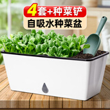 水生田懒人自吸水花盆家用蔬菜种植神器长方形塑料大花盆家庭阳台种菜箱  【水滴大款】吸水懒人盆4个