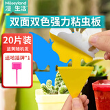 漫生活双面粘虫板20张苍蝇贴诱虫板飞蛾陷阱家用灭小飞虫果蝇贴纸大棚