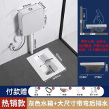 九牧王JOMOW冲水箱蹲便器蹲坑套装家用便盆大便器卫生间蹲厕便盆 高端灰色水箱+大带弯后排水蹲便