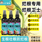 烂根卫士通用型多肉绿植花卉盆栽防治烂根死棵根腐菌剂 100ml烂根卫士*1瓶