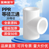 金角金牛ppr水管配件4分20 6分25家用自来水水管活接头暖气管配件 20ppr(4分)三通【3个装】