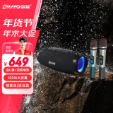 雷登（OHAYO）户外K歌音响蓝牙音箱一体机大功率100W三喇叭双振膜立体声重低音炮混响广场舞直播送双麦