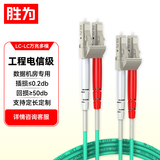 胜为（shengwei）万兆多模光纤跳线LC-LC 10米 OM3-300双芯尾纤 Φ2.0低烟无卤LSZH抗弯曲跳纤光纤线FOC-1100
