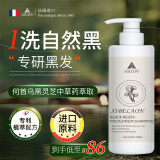 XIBELAON法国进口黑灵芝何首乌洗发水白头发转养黑治发根养发自然黑洗发露 3盒装【滋养头皮改善发质】