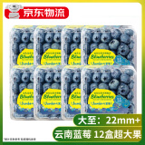 田良季云南花香蓝莓【JD/顺丰多地次日达】国产水果秘鲁新中梅生鲜送礼 4盒 越多越划算【100g-125g/盒】 品质中果【单果15mm+】