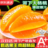 优味集下河杨桃水果【顺丰JD】福建低糖鲜果整箱送礼应季孕妇生鲜酸梅粉 500g净重装（产地优果） 商超A+级金果150g+