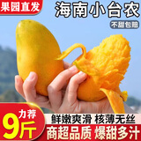 味果生海南小台农芒果9斤新鲜小台芒当季热带水果现摘甜心小芒果整箱 3斤净重2.8斤 精选大果