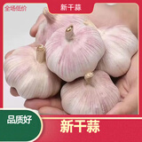 今年干蒜头蒜大蒜紫白皮干蒜头山东金乡干大蒜头当季蔬菜250g-5斤 250g【果径3-3.5cm】袋装偏小