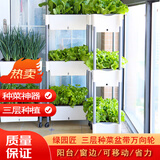 绿园匠 三层组合种植盆室内阳台种菜盆种植箱大花盆花槽可移动种菜神器