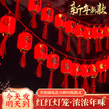 菲享彩灯过年灯笼led灯新年装饰灯泡过年氛围装饰品室内窗帘灯串春节 长款福红灯笼【6*10cm】10米36灯 【插电款带尾插，8种闪烁模式】
