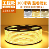 得焺led灯带220v高压户外防水灯酒店别墅工程超亮条装饰线形灯户外照明灯100米装-暖光【6W-120珠/米】