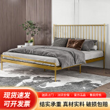 L&S床铁艺床欧式铁架床现代简约1.8双人床卧室主卧出租房宿舍床YC20 金色 1.8*2.0m