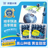 爱鲜摘农场 金奖·花香蓝莓【JD顺丰】多地次日达丹东新鲜水果礼盒送礼物品 【限量版】稀有果王丨单果20mm+ 6盒｜畅吃装【100g-125g/盒】