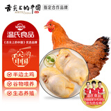 温氏 供港土鸡半边鸡2斤 （1斤*2) 冷冻 农家放养走地鸡 烧烤烤鸡火锅