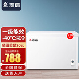 志高（CHIGO）冰柜家用商用大容量冷柜 一级能效节能省电冷藏冷冻小型电冰柜 【-40℃深冷 一级能耗】 228L