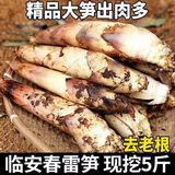 绿鲜森临安天目山春笋新鲜大笋雷笋现挖竹笋蔬菜生鲜 5斤大笋(单支2.5两以上）