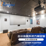 润普 国产化会议音频扩声系统 专业会议 有线电容麦克风 音频设备套装定制设计