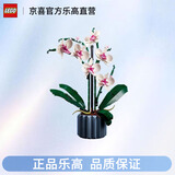 乐高（Lego）10311乐高兰花积木花儿童拼搭收藏玩具礼物