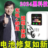 电瓶修复神器二三轮电动车电瓶修复器通用脉冲修复电池自动断电用 升级款【强效】推荐