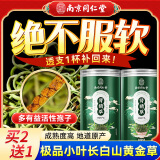 南同四海南京同仁堂肾经草50g嗷嗷叫黄金草搭特野外生肾精茶级化石草泡水