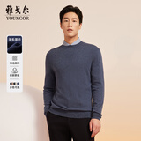 雅戈尔（YOUNGOR）毛衫男士秋冬青年男毛衫圆领毛衣羊毛混纺面料羊毛衫4色合款 蓝色VYHR619968HBA XL (110)