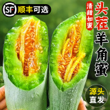 田良季山东羊角蜜甜瓜5斤水果新鲜应当季整箱香瓜蜜脆瓜羊角送礼物盒品 10斤超值装丨家庭分享装 净8.6斤 甄选头茬果丨更脆更甜