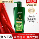 欧莱雅洗发水精油润养洗发露润发乳洗护套装控油柔顺滋养茶树植萃洗头膏 茶树植萃去屑滋养洗发露700ml