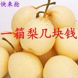 正宗河北鸭梨大果新鲜10斤脆甜梨子水果当季整箱包邮5斤赵县雪梨 精选鸭梨净重5斤