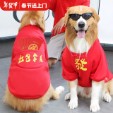 憨憨宠 狗狗衣服 狗衣服宠物衣服秋冬装卫衣中大型犬毛衣金毛大狗衣服 狗狗卫衣 4XL 适合45斤内的狗狗