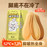 迪普尔自发热鞋垫加热暖脚贴暖脚垫神器暖宝宝女男士冬天保暖 【商仓发】女款10双20片#适合36-39码