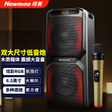 纽曼（Newmine）A2蓝牙音箱大功率户外广场舞家用商超双6.5吋喇叭低音炮电木吉他民谣乐器音箱单麦克风